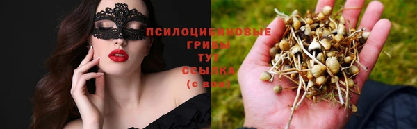 прущая мука Наволоки