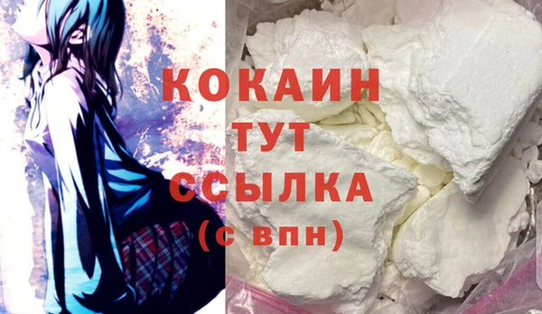 индика Кропоткин