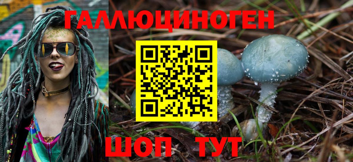 Магадан  даркнет сайт  Псилоцибиновые грибы мухоморы  Вход с VPN  Галлюциногенные грибы прущие грибы 