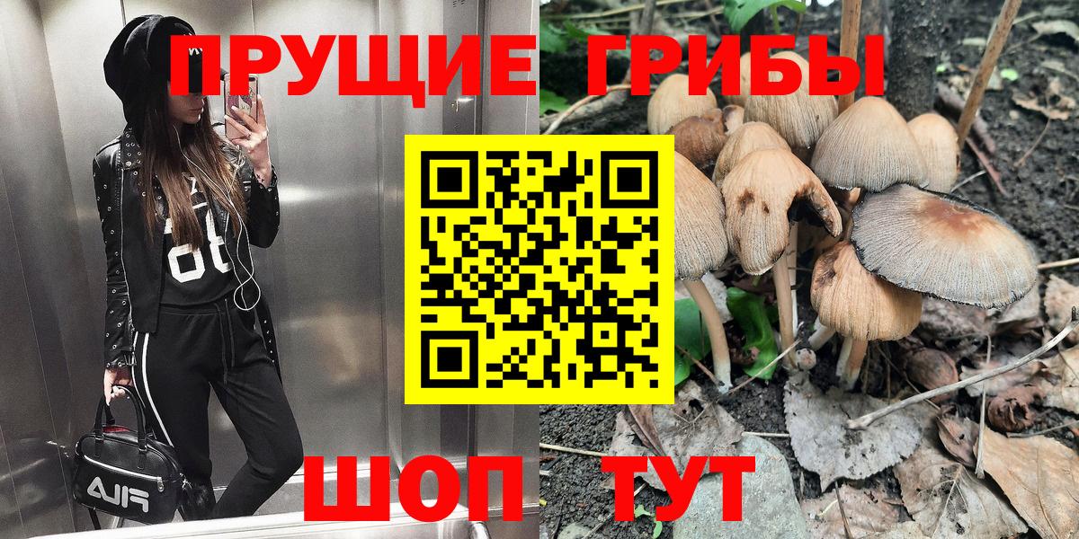 Псилоцибиновые грибы GOLDEN TEACHER Магадан