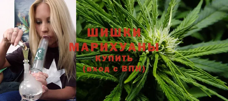 Марихуана THC 21%  сколько стоит  Магадан 