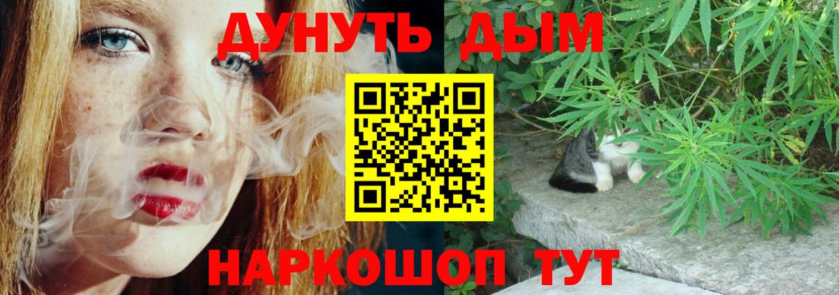 Бошки марихуана сатива Магадан